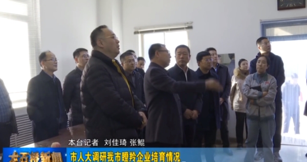 大石桥市人大调研盛海化工、美尔镁、益嘉镁...