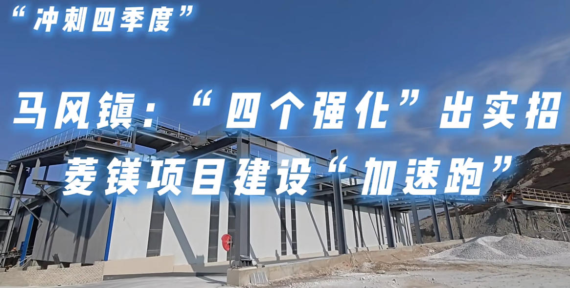 海城市马风镇：“四个强化”出实招 菱镁项...