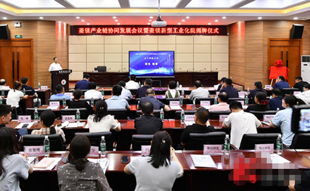 菱镁产业链协同发展会议暨菱镁新型工业化院...